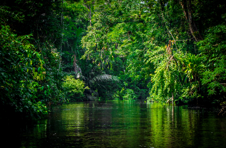Tenorio Volcano National Park, Guanacaste Province, Costa Rica